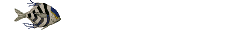 CLICK ON THE PICTURE FOR QUICK LINKS 